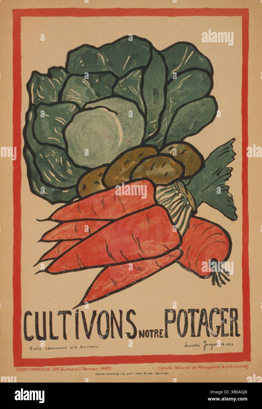 Lassen Sie uns unseren Gemüsegarten kultivieren. Bild von Karotten, Kohl und Kartoffeln. Stockfoto