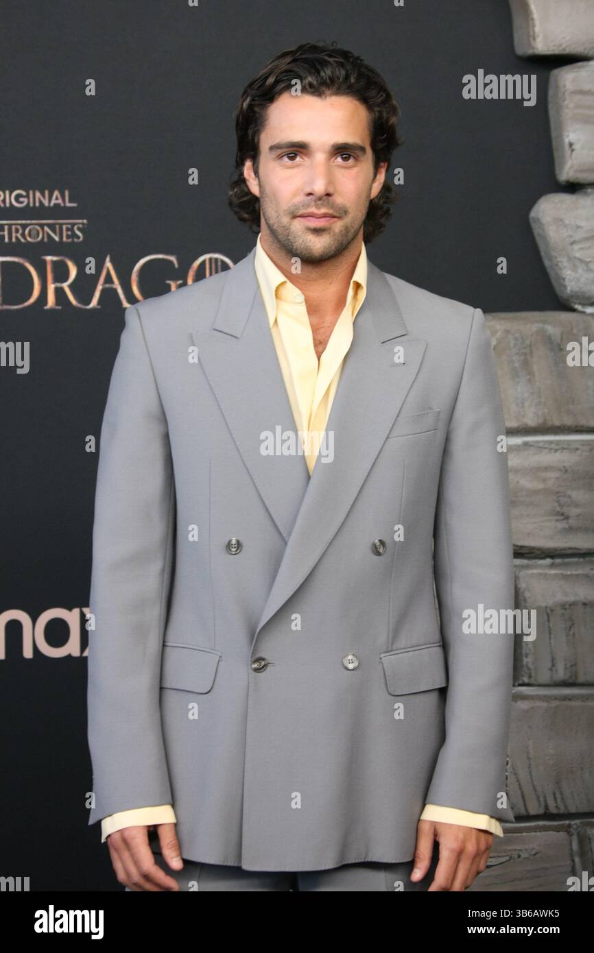 27. Juli 2022, Los Angeles, CA, USA: Fabien Frankel nimmt am 27. Juli 2022 an der HBO Original Drama Series House of the Dragon im Academy Museum of Motion Pictures Teil. (Kreditbild: © imageSPACE via ZUMA Press Wire) Stockfoto