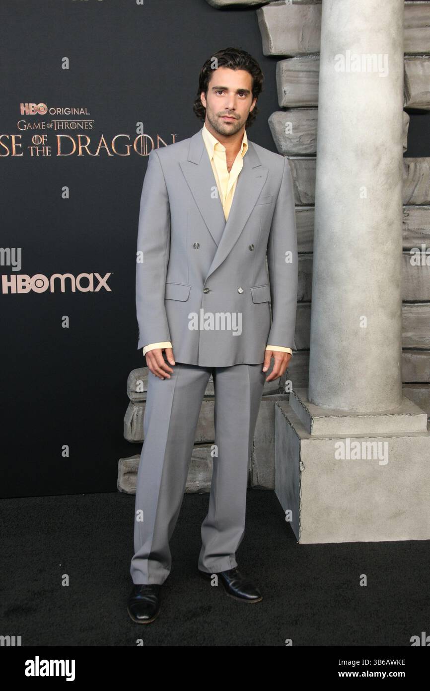 27. Juli 2022, Los Angeles, CA, USA: Fabien Frankel nimmt am 27. Juli 2022 an der HBO Original Drama Series House of the Dragon im Academy Museum of Motion Pictures Teil. (Kreditbild: © imageSPACE via ZUMA Press Wire) Stockfoto