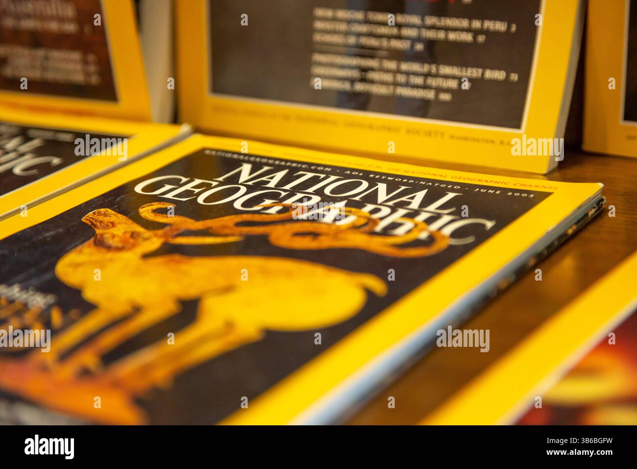 Los Angeles, Kalifornien, USA - 09.04.2019: Eine Ansicht mehrerer National Geographic Magazine in einem gebrauchten Bücherregal. Stockfoto