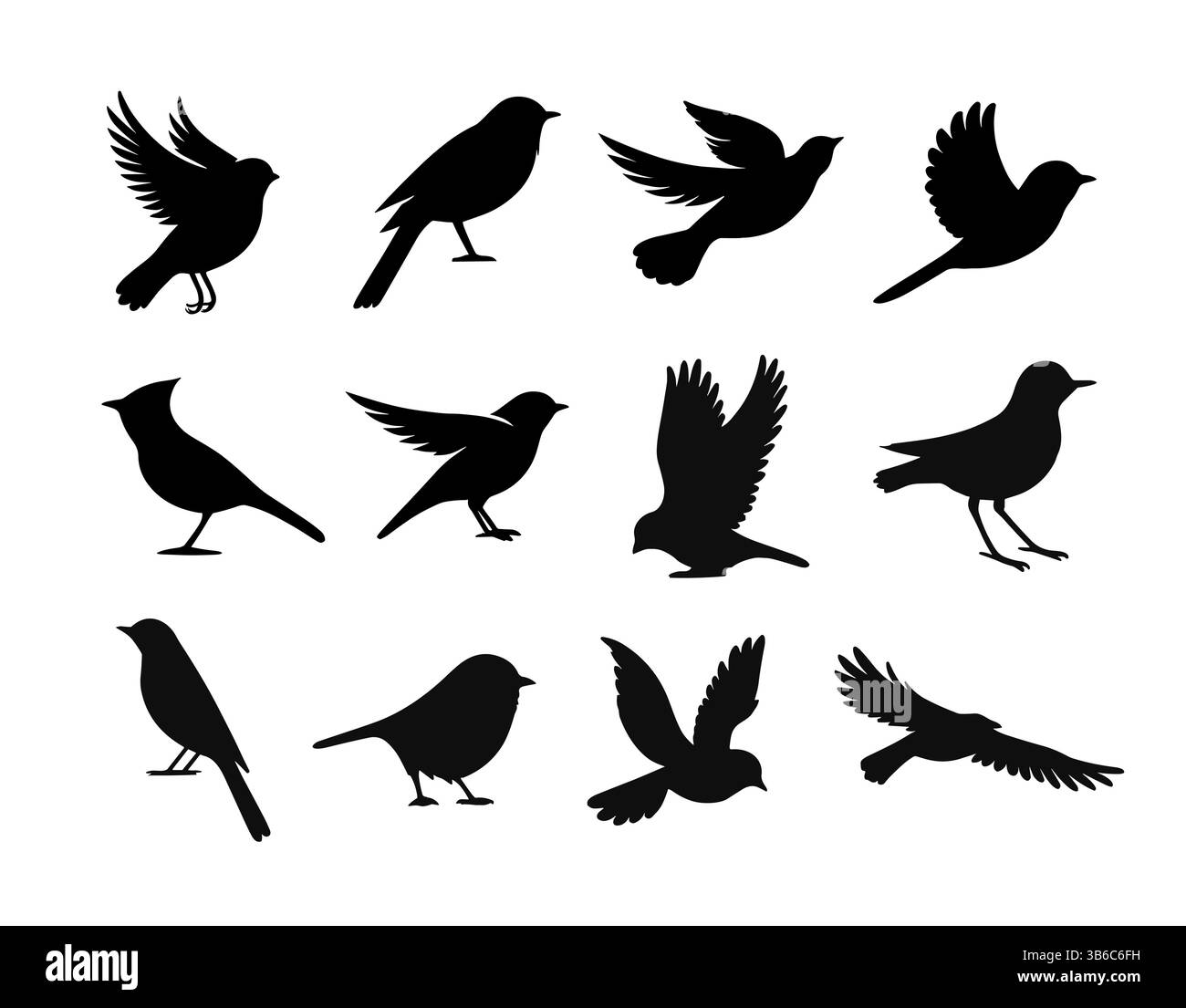 Vector Birds Silhouette Fliegenspatzen Symbol. Tiertaube Vogel Silhouette Rabenfedern Barsch Kardinalsymbole in Schwarz Stock Vektor