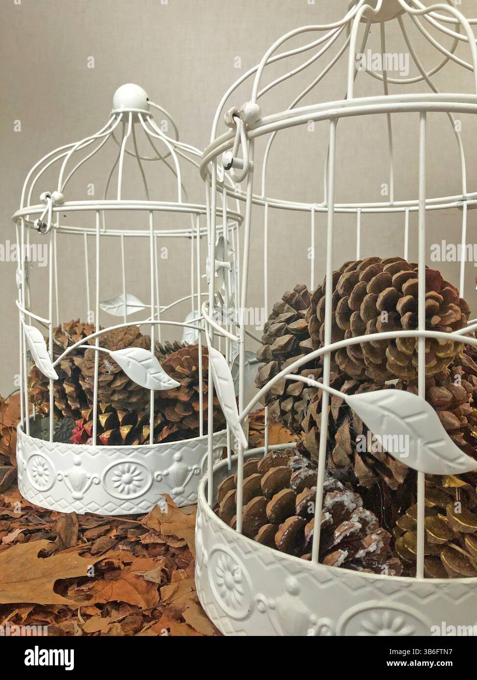 Rustikales Herbstdekor/Naturinspiriertes Innendesign Stockfoto