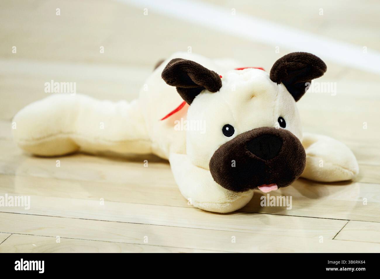 6. Dezember 2023: Teddybär wirft während der Halbzeit des NCAA Women's Basketball-Spiels zwischen den Lafayette Leoparden und den Notre Dame Fighting Irish im Purcell Pavilion im Joyce Center in South Bend, Indiana, für wohltätige Zwecke. Notre Dame besiegte Lafayette mit 96.42. John Mersits/CSM. (Kreditbild: © John Mersits/CSM via ZUMA Press Wire) Stockfoto