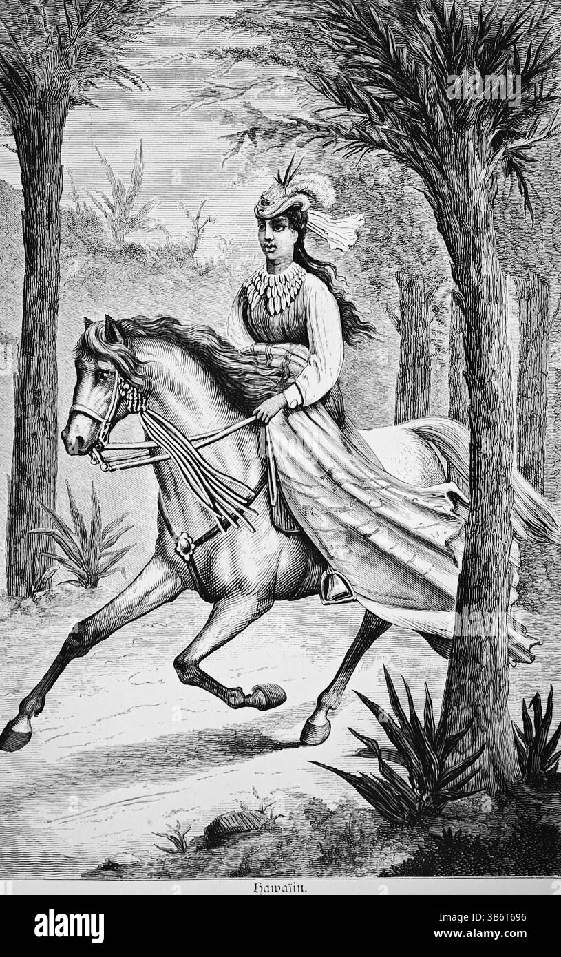 Hawaiianerin, junge Frau, die im Trab durch einen tropischen Wald reitet, hält fest in den Händen, elegante Kleidung, langer fließender Rock, Hut mit fe Stockfoto