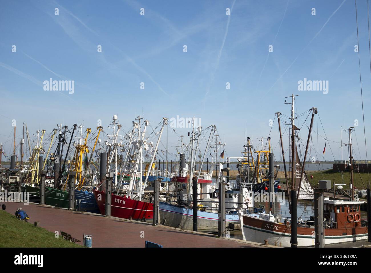 Angelschneider, Ditzum, Hafen, Ems, Dollart, Ostfriesland, Niedersachsen, Deutschland, Europa Stockfoto