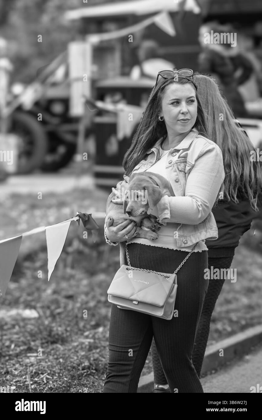 Eine liebevolle Besitzerin hält ihr niedliches Labrador-Welpen in Harrogate, Yorkshire, Großbritannien, schützend nah an ihr Herz. Stockfoto