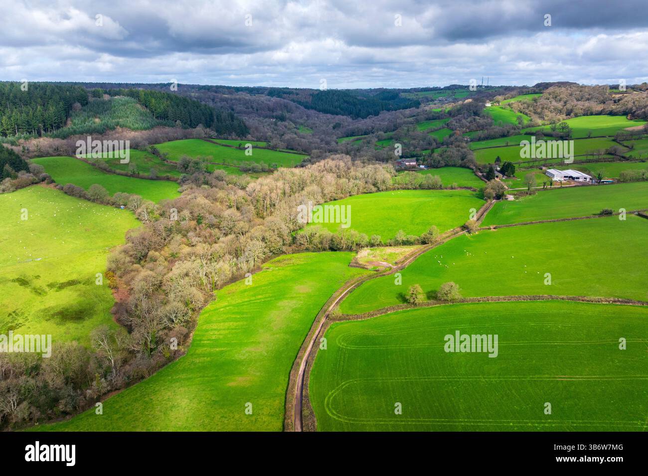 Sid Valley, Sidbury, Devon, England, Vereinigtes Königreich, Europa Stockfoto
