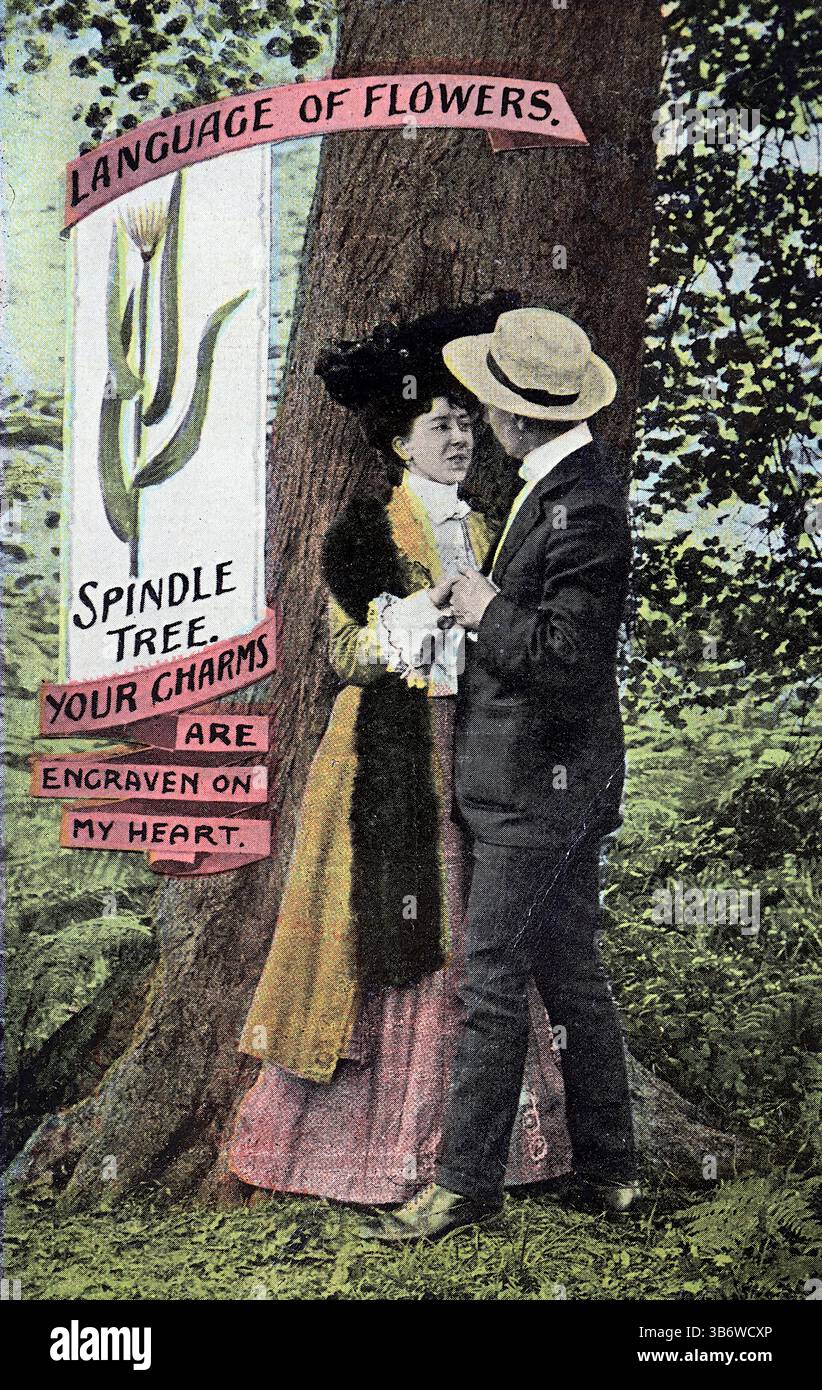 The Language of Flowers, aus einer Postkarte, die von Henry Garner Ltd. (H.G.L.) als Teil ihrer Living Picture Series, 1906 veröffentlicht wurde. Diese Postkarte zeigt einen Mann und eine Dame in einer Umarmung, neben einem Spindelbaum mit der Überschrift: Ihre Reize sind auf mein Herz graviert. Aus einer Auswahl diverser Postkarten aus dem frühen 20. Jahrhundert. Stockfoto