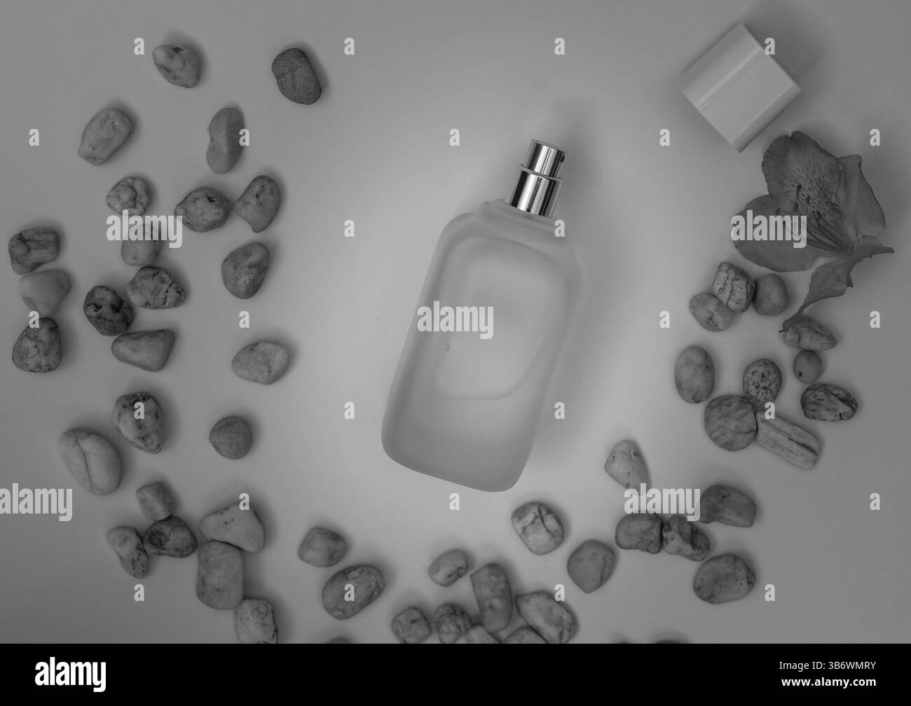 Parfumaroma auf farbigem Hintergrund, Objektfotografie Stockfoto