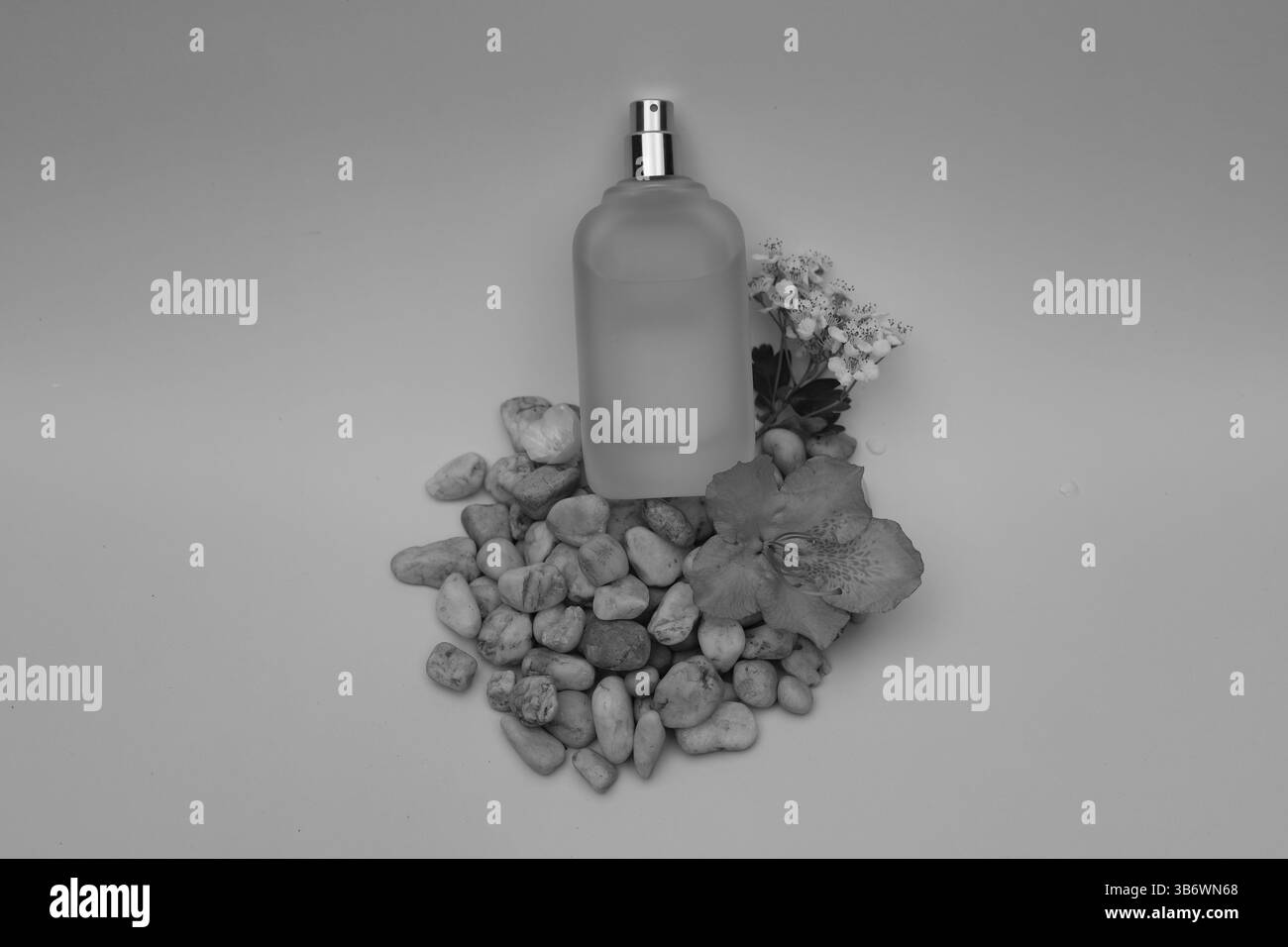 Parfumaroma auf farbigem Hintergrund, Objektfotografie Stockfoto