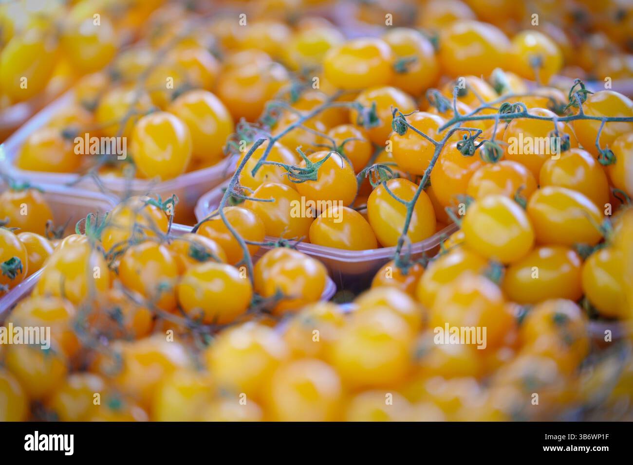 Italienische gelbe Kirschtomaten an einem Sommertag auf einem Bauernmarkt. Stockfoto