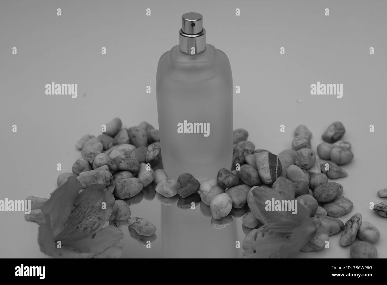 Parfumaroma auf farbigem Hintergrund, Objektfotografie Stockfoto