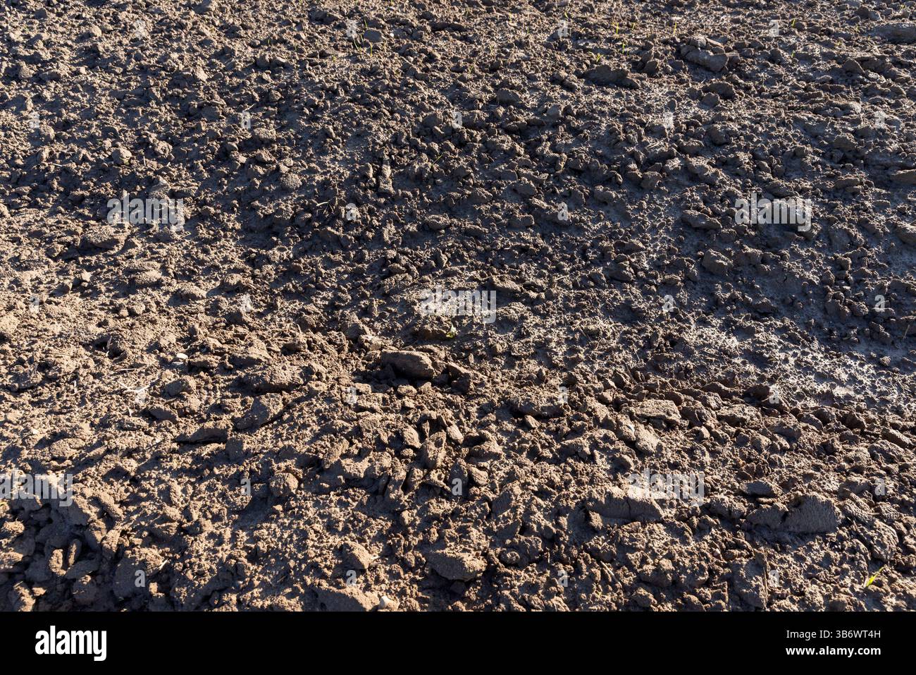 Gepflügte Bodenfelder für landwirtschaftliche Nutzpflanzen, Nahaufnahme eines fruchtbaren Bodens Stockfoto