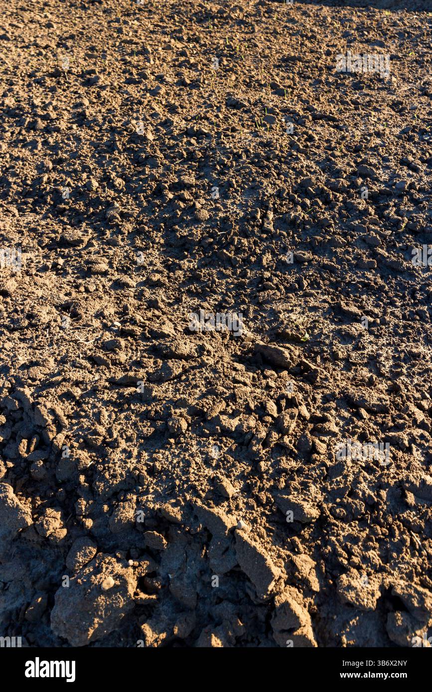 Gepflügte Bodenfelder für landwirtschaftliche Nutzpflanzen, Nahaufnahme eines fruchtbaren Bodens Stockfoto