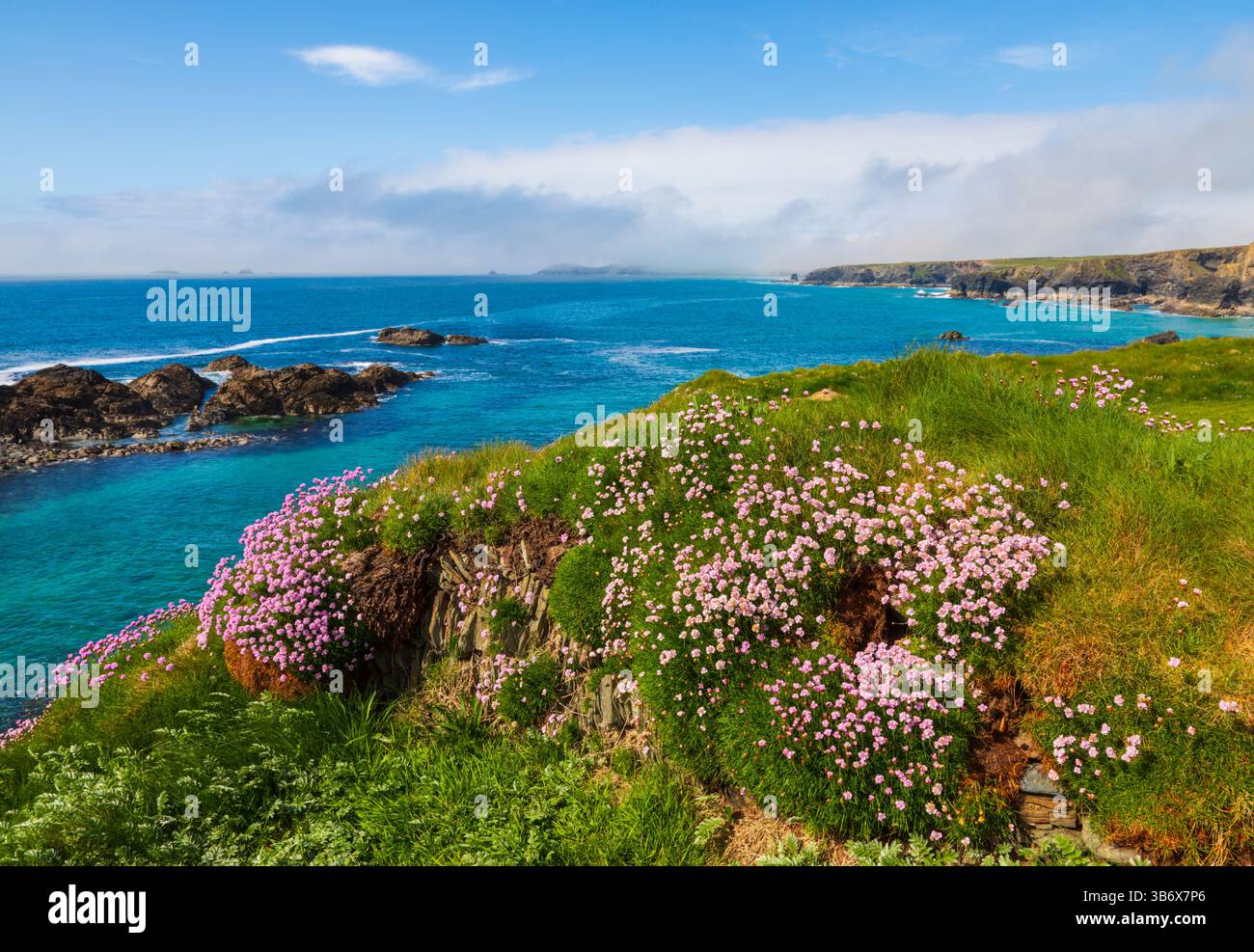 Sparsamkeit Bei Porthcothan Stockfoto