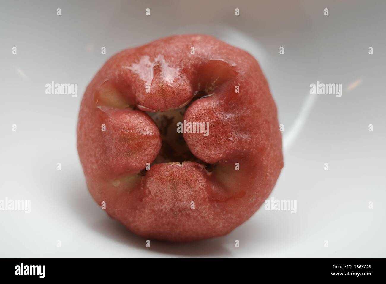 Ein Rosenapfel in einer weißen Schüssel. Es ist auch bekannt als Java Apfel. Stockfoto