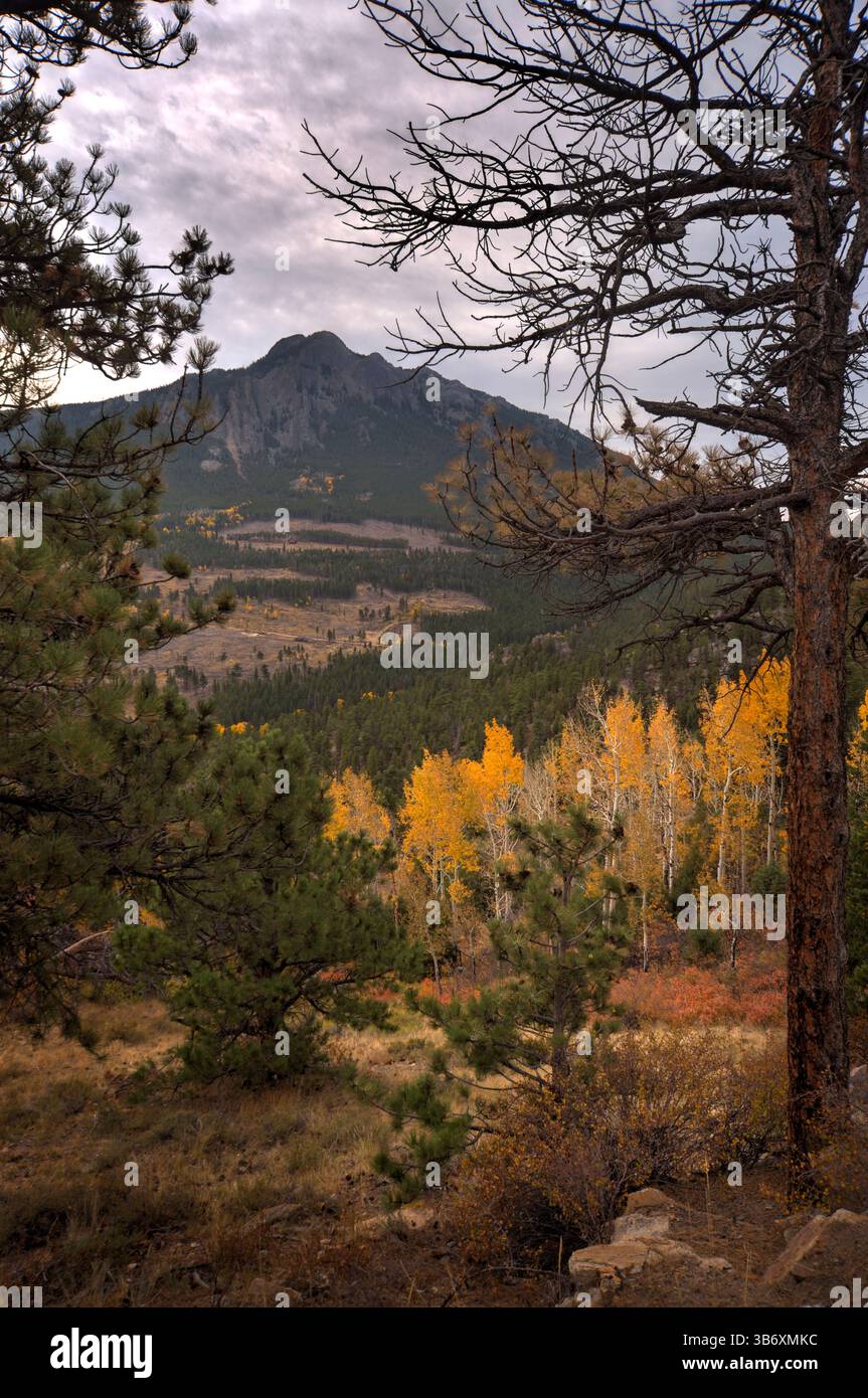 Malerische Aussicht in der Nähe des Estes Park in Colorado mit Kiefern- und Espenbäumen im Herbst. Stockfoto