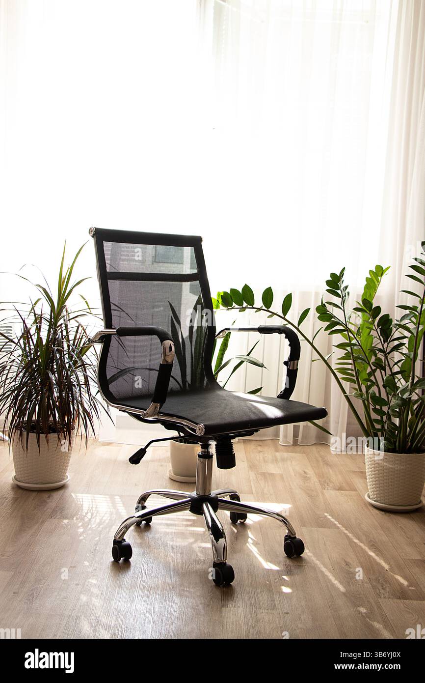 Modernes Home Office mit komfortablem Stuhl, Pflanzen im Innenbereich und gemütlicher Atmosphäre am Fenster, Arbeitsplatz zu Hause Stockfoto