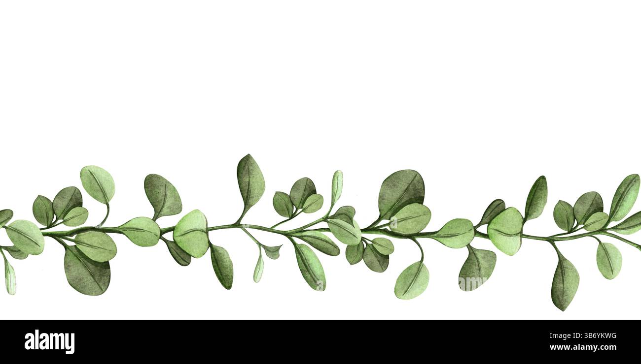 Frisches grünes, florales nahtloses Banner im Frühling mit Zweig und Blättern, handgemalte Aquarellschablone - Rand mit botanischem Arrangement perfekt Stockfoto