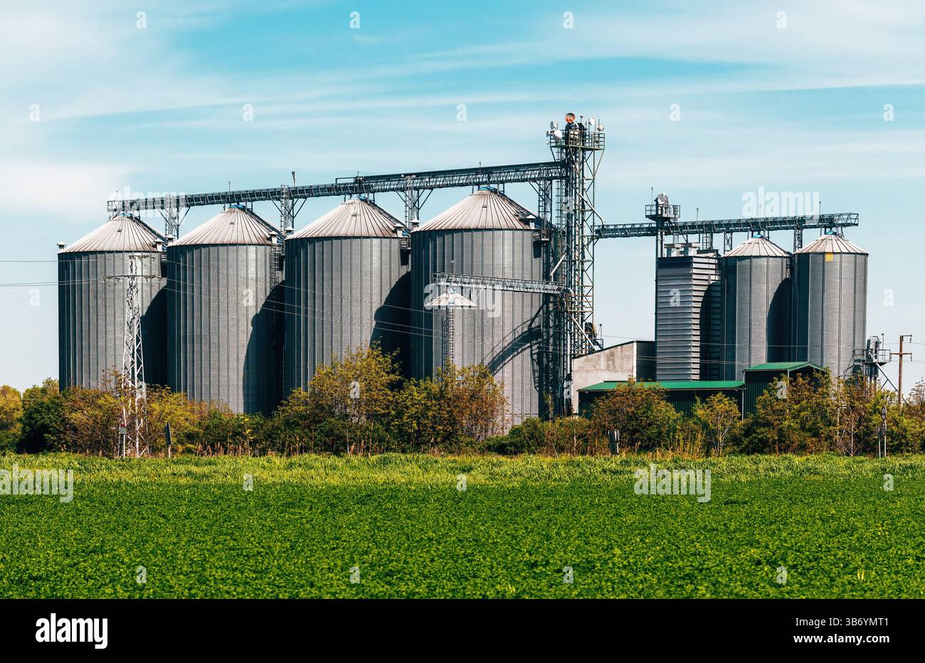 Getreidesillos bauen auf landwirtschaftlichen Betrieben, selektiver Fokus Stockfoto
