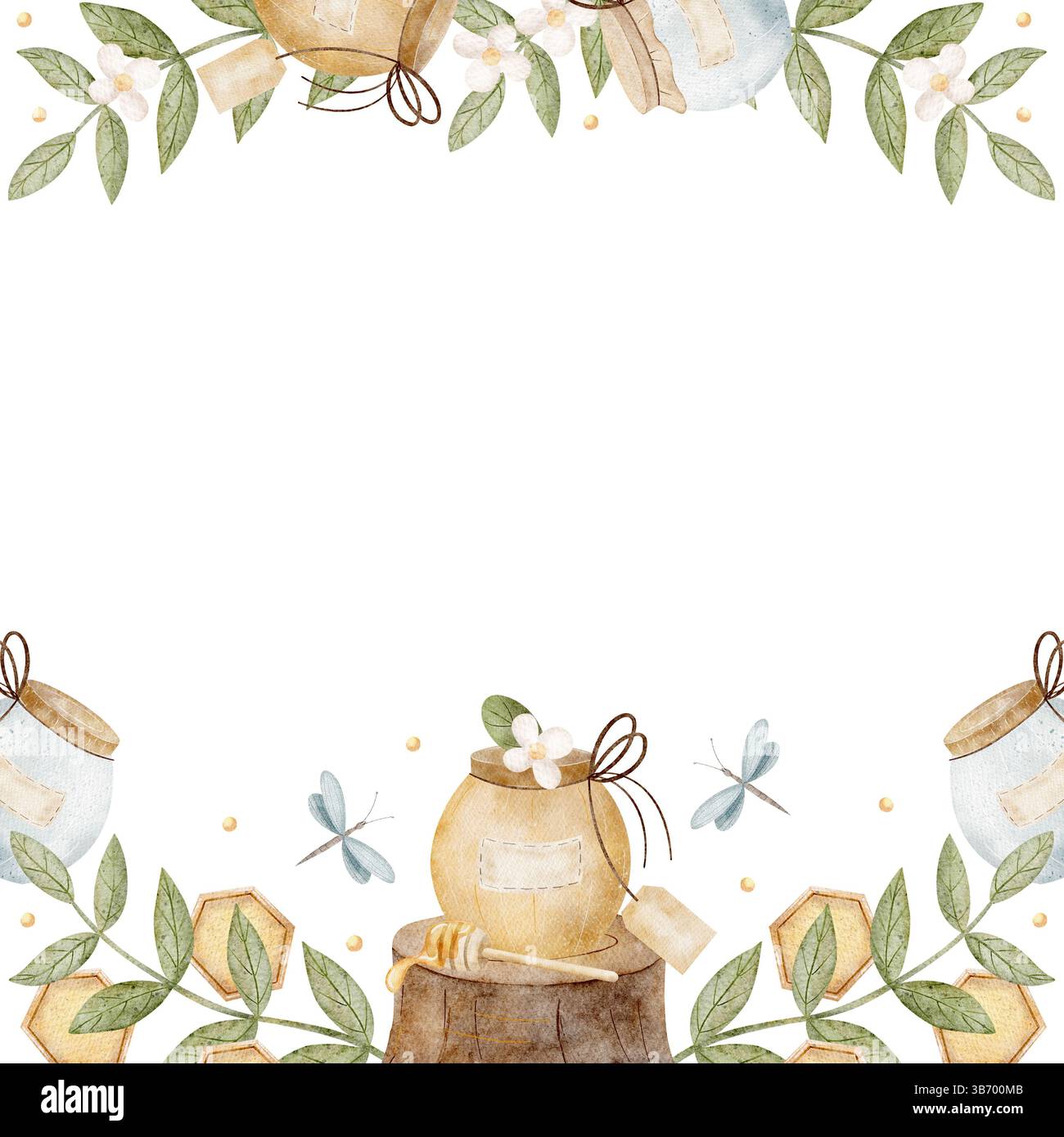 Rahmen quadratische Aquarellillustration Glas, Honigtopf, Wabenblume in Kamillenblüten, Blätter, Libelle. Handgezeichnete Illustration auf isoliertem Hintergrund Stockfoto
