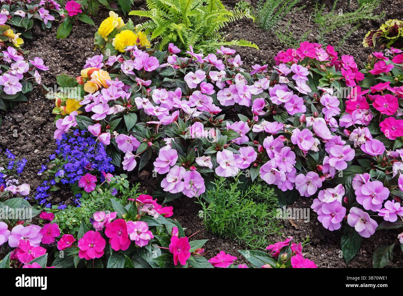Detail eines dekorativen Blumengartens mit Blüten und Laub Stockfoto