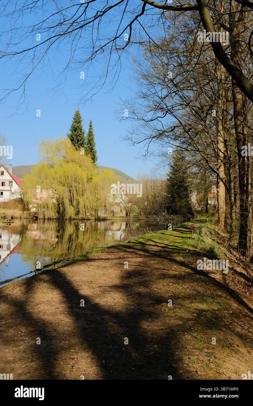 Dorfhäuser mit bunten Bäumen, die sich im Frühling in einem ruhigen See unter blauem Himmel in ländlicher europäischer Umgebung spiegeln. Hochwertige Fotos Stockfoto