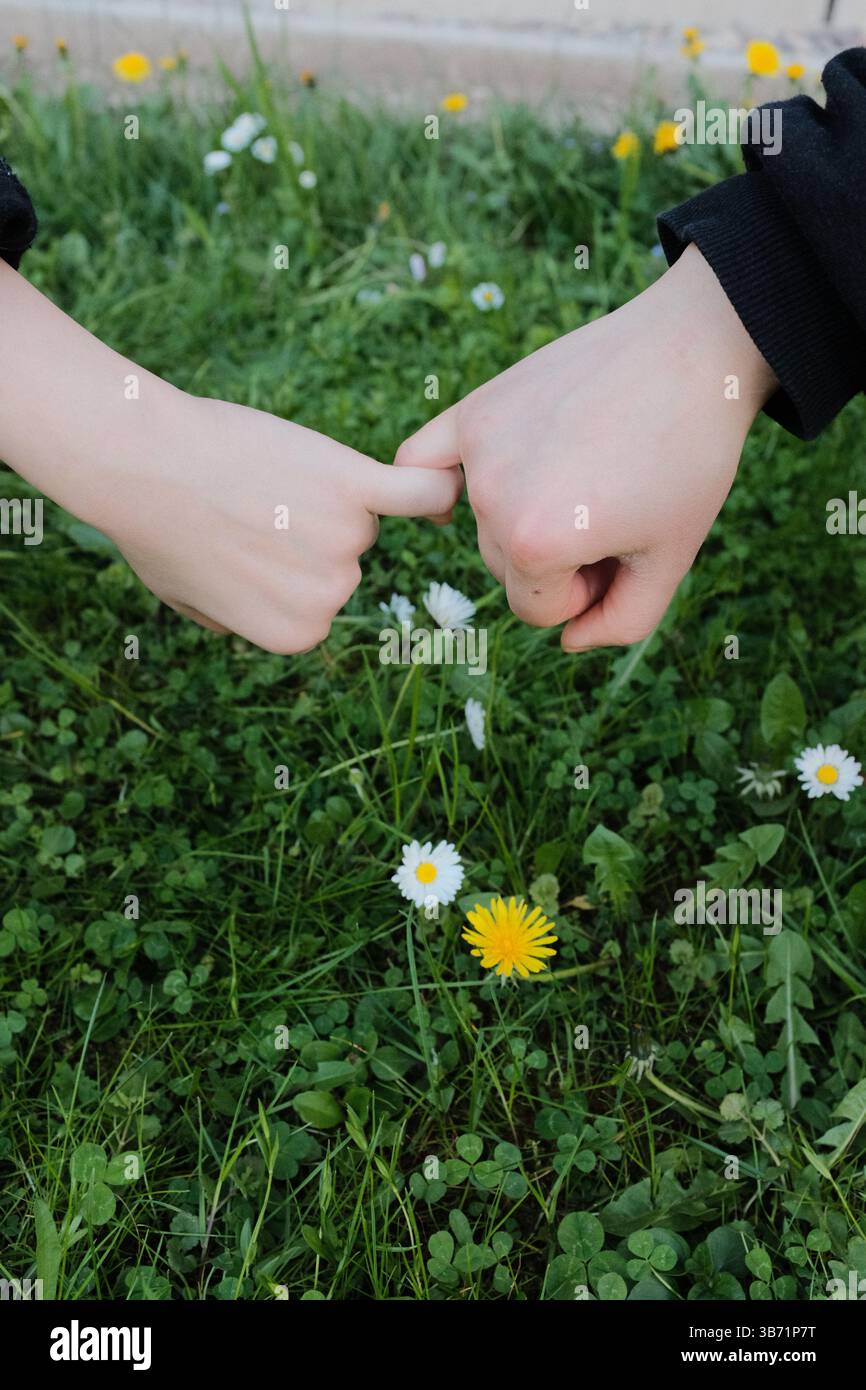 Nahaufnahme der Hände, die Wildblumen und Gras auf grünem Rasen während des Frühlingsnachmittags berühren. Hochwertige Fotos Stockfoto