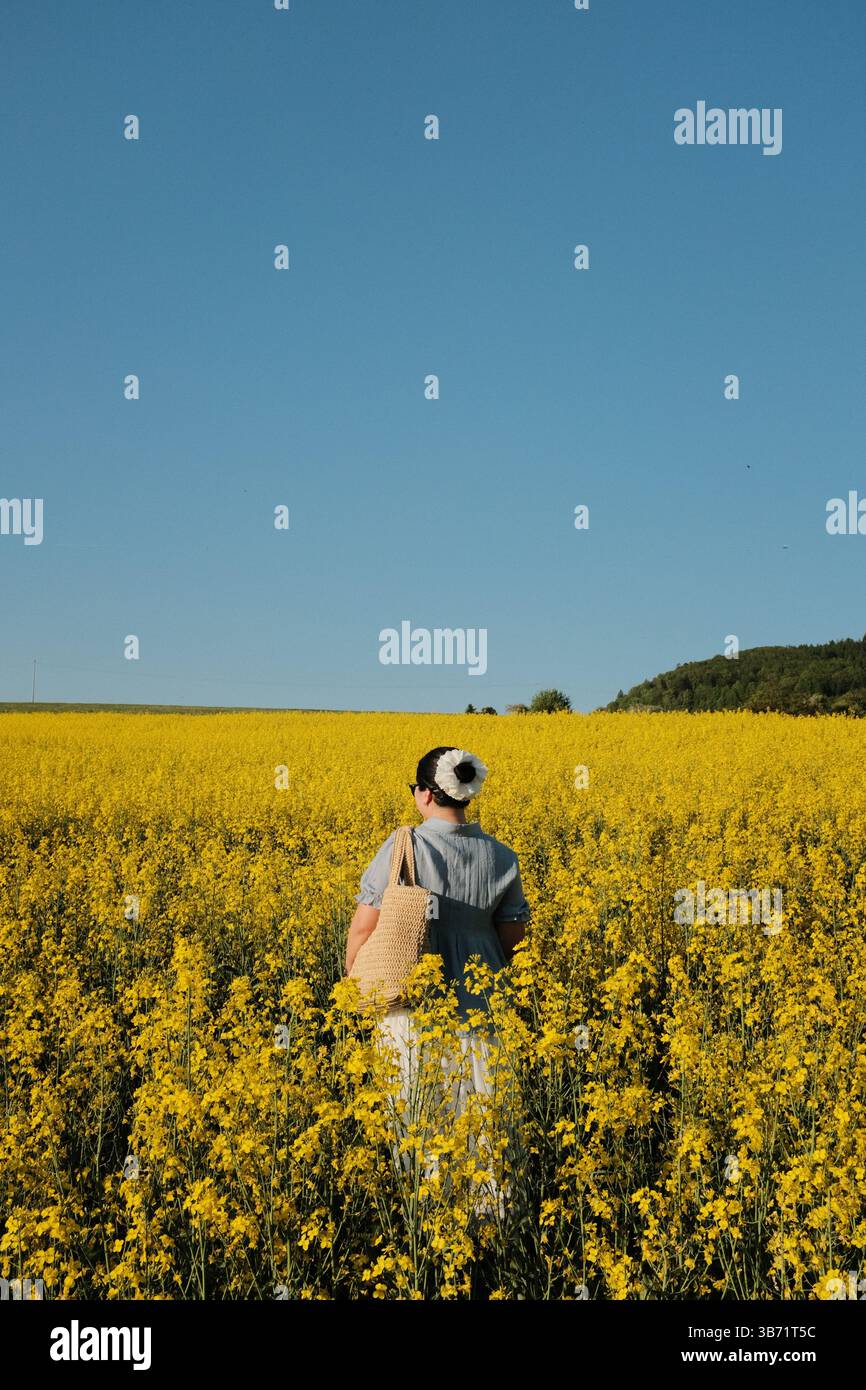 Frau in weißem Sommerkleid und Strohhut, die durch gelbes Rapsblumenfeld unter klarem blauem Himmel auf dem Land spaziert. Hochwertige Fotos Stockfoto
