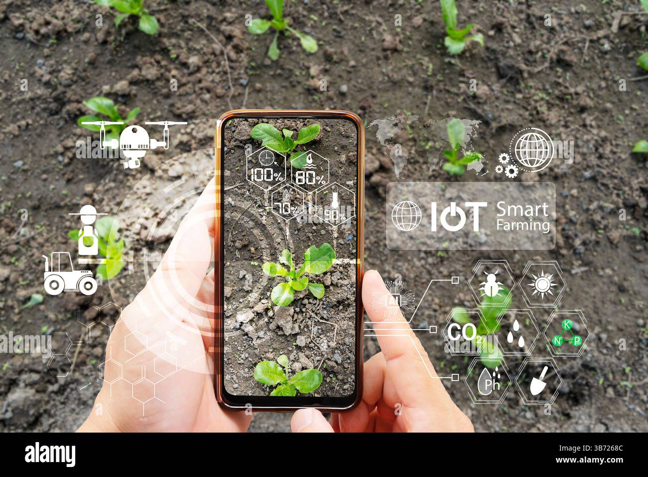 Technologiekonzept für die intelligente Landwirtschaft im Bereich der landwirtschaftlichen Transformation. Digitale Cyber-Anzeige der IoT-Elementsymbole werden auf organischen grünen Teeblättern auf cultiva angezeigt Stockfoto
