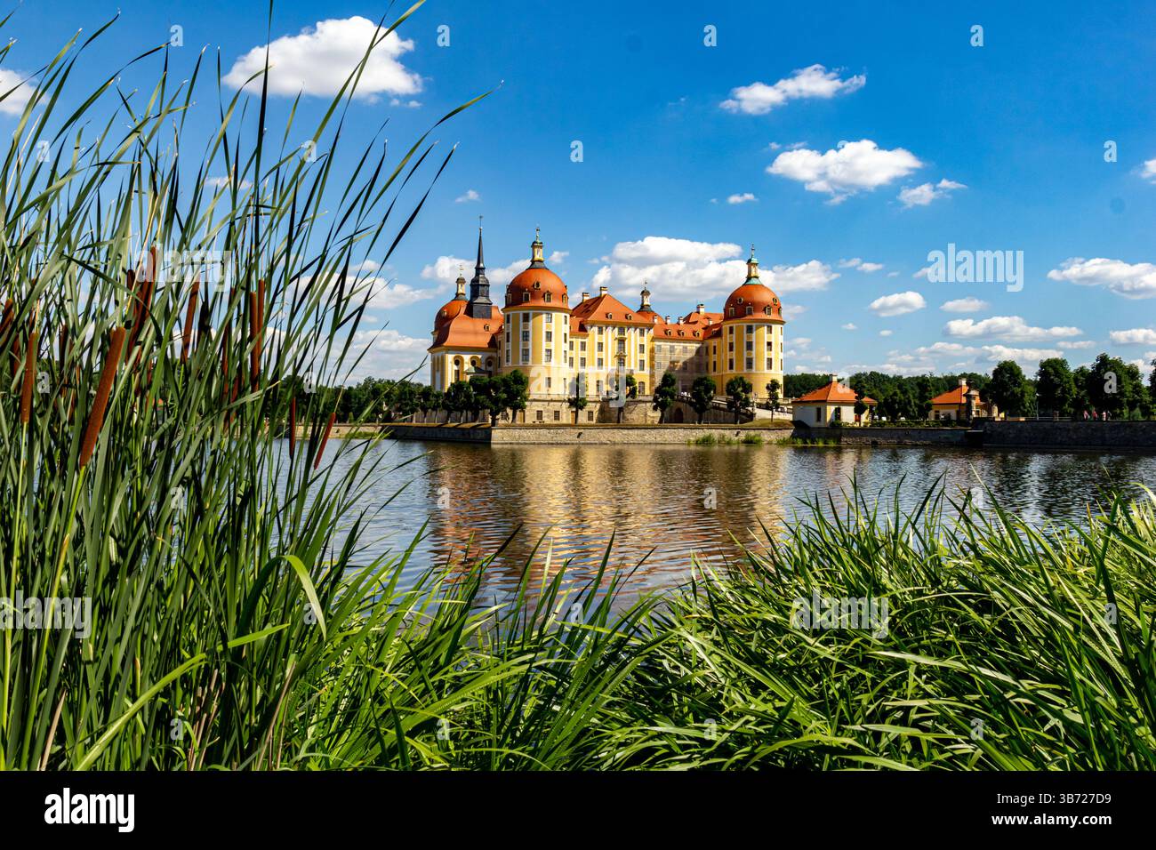 Das wunderschöne Schloss Moritzburg. Sachsen, Deutschland. Grünes Schilf im Vordergrund, blauer Himmel mit weißen Wolken Stockfoto