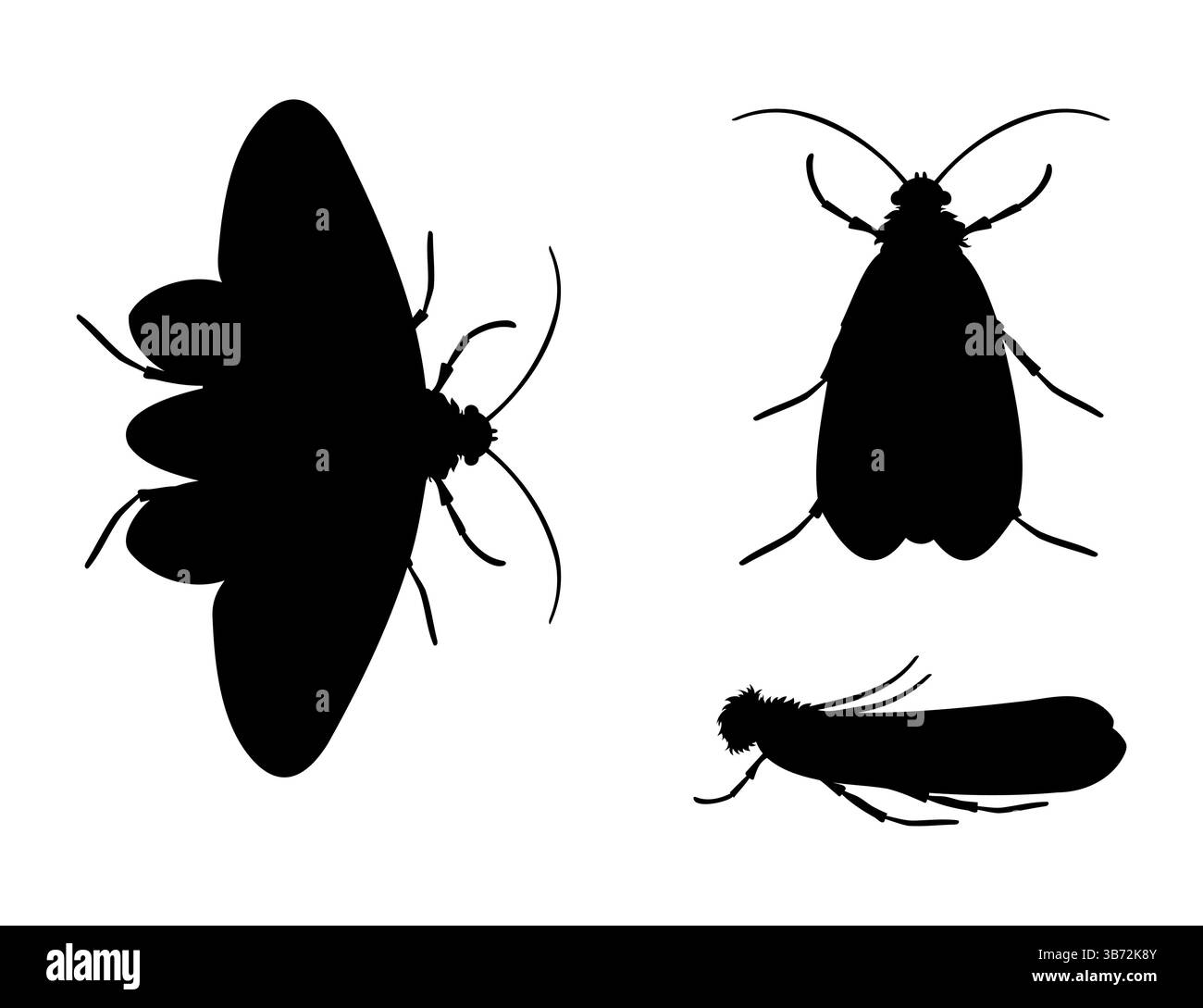 Silhouetten von Kleidermotten in verschiedenen Positionen, Insekten, Hausschädling, Textilschäden Stock Vektor