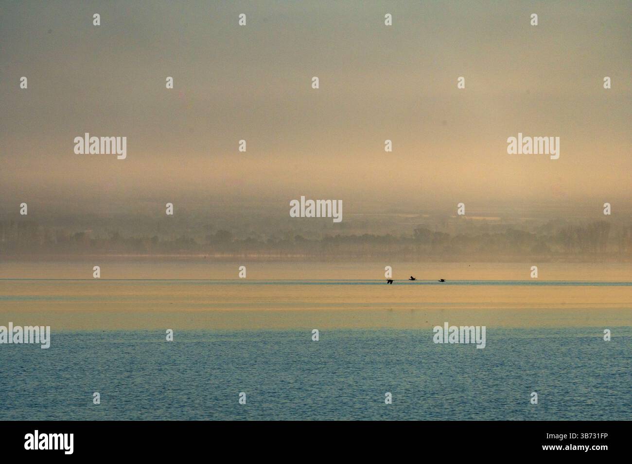 New Dawn über dem See Stockfoto