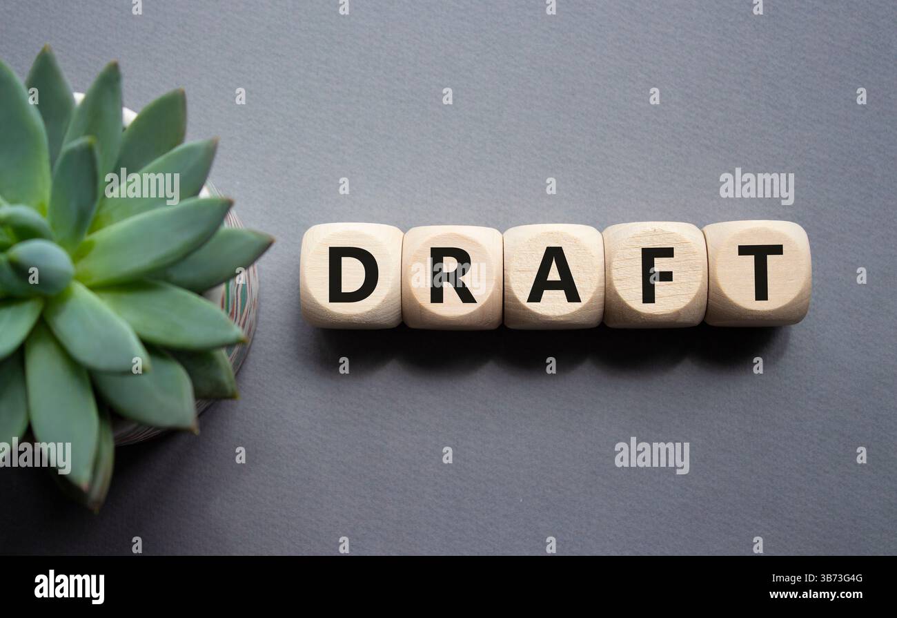 Auszugsschrägensymbol. Konzeptwort Entwurf auf Holzwürfeln. Schöner grauer Hintergrund mit saftiger Pflanze. Business- und Entwurfskonzept. Kopierbereich. Stockfoto