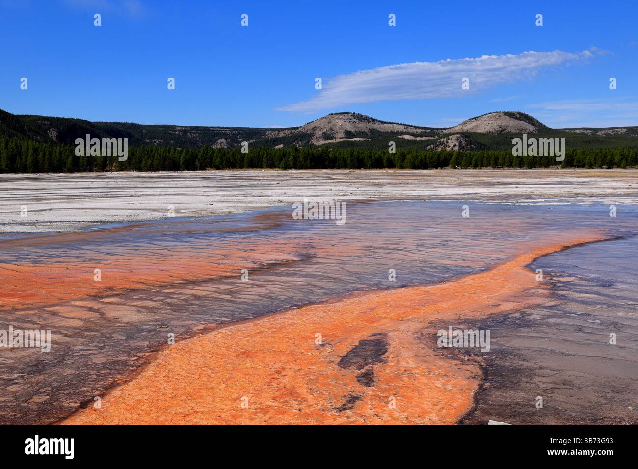 In der Grand Prismatic Spring von Yellowstone zeichnen sich durch lebhafte geothermische Kräfte leuchtende blaue, rote, orangene und gelbe Schichten über dampfenden Mineralienbecken aus. Stockfoto