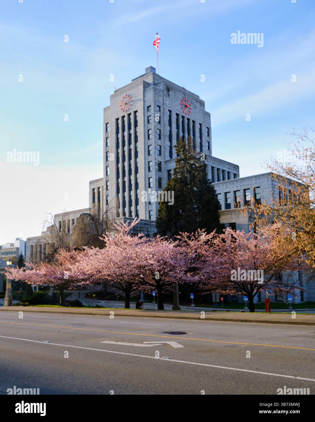 Rathaus mit Kirschblüten in Blüte Vancouver BC. Stockfoto