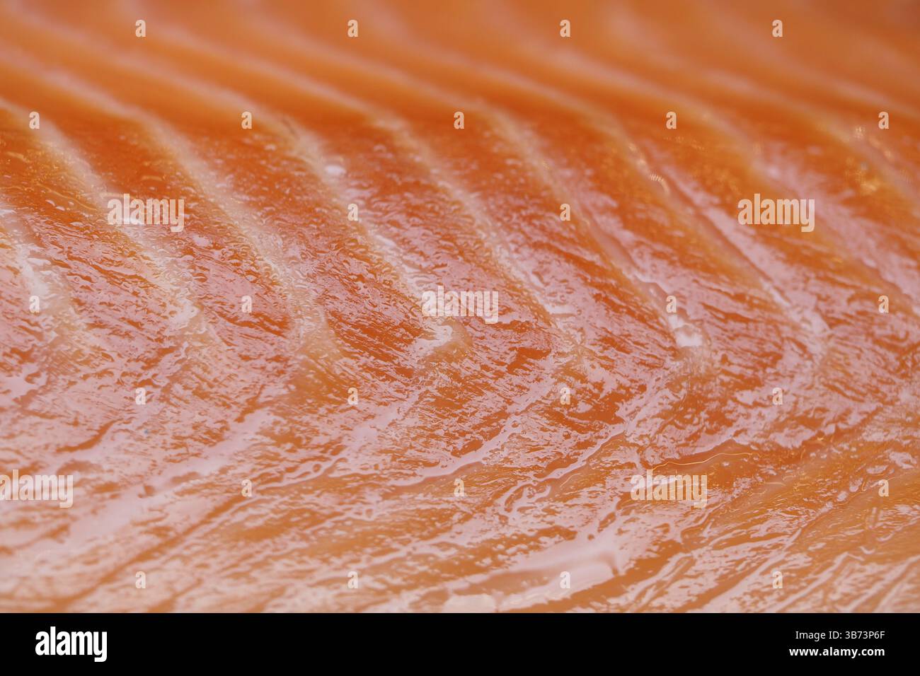 Nahaufnahme von frischem Lachsfilet mit glänzender Textur Stockfoto
