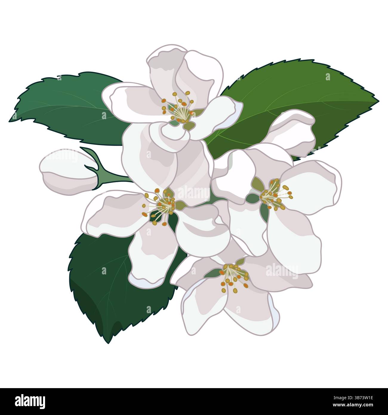 Frühlings-Apfelbaum-Blüten Stock Vektor