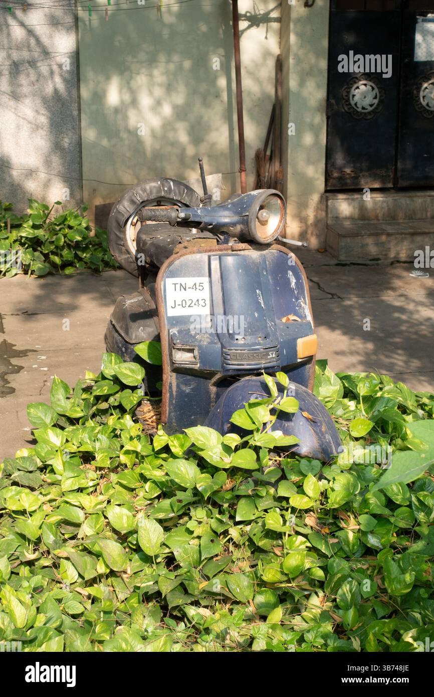 Verlassener und verwachsener Roller im Vorgarten eines Hauses in Tiruchirappalli, Tamil Nadu, Indien, Asien Stockfoto