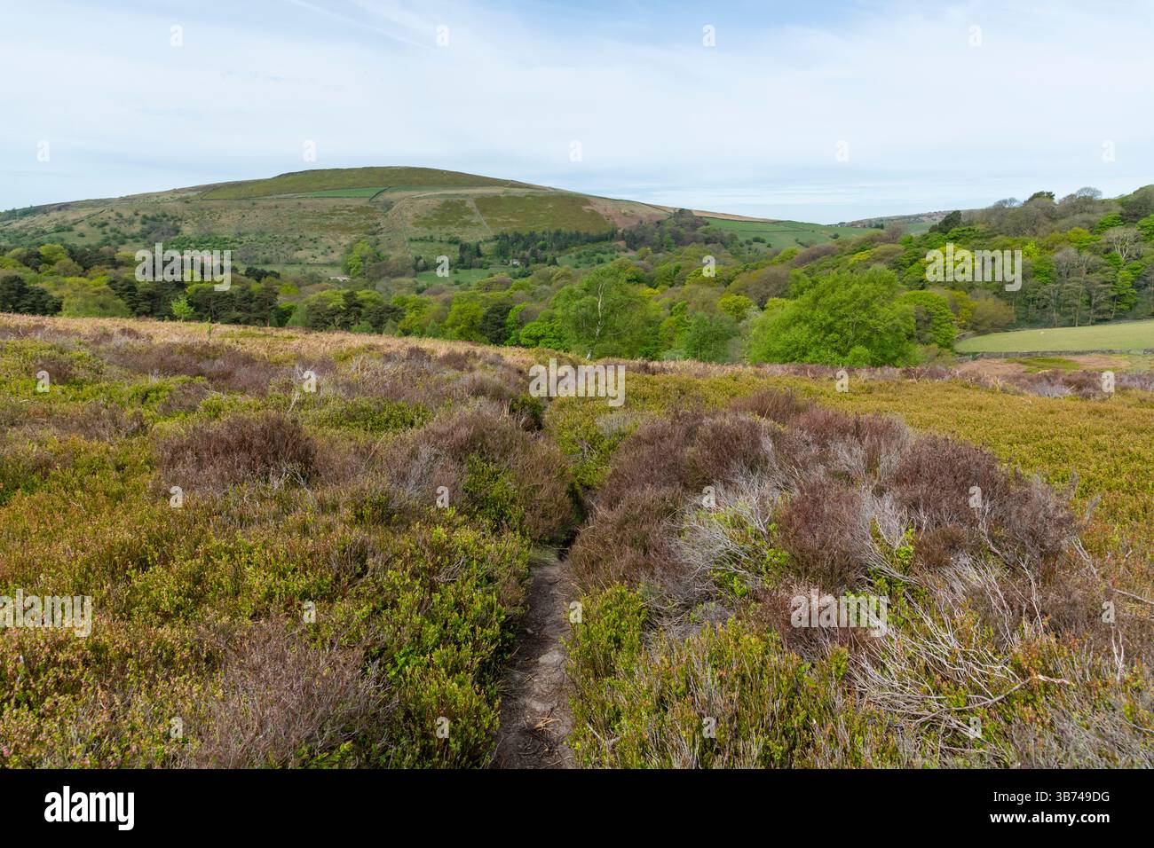 Middle Moor oberhalb von Hayfield, Derbyshire, England. Stockfoto