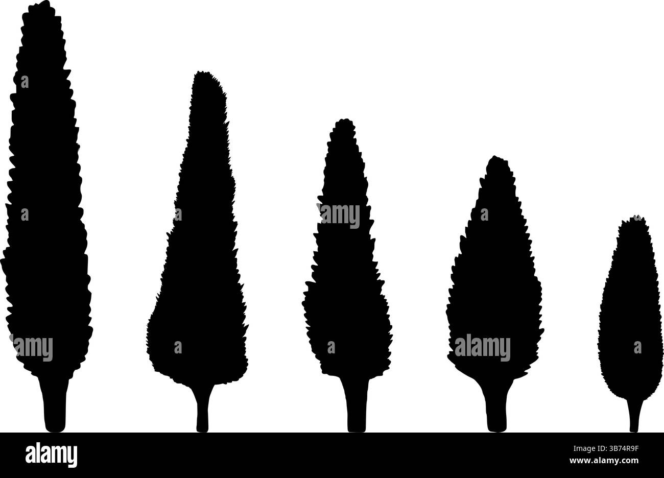 Silhouette der Zypresse. Mediterrane Zypresse Bäume Silhouette Set isoliert auf einem transparenten Hintergrund, flache Vektor-Illustration. EPS Cut Files für Cricu Stock Vektor