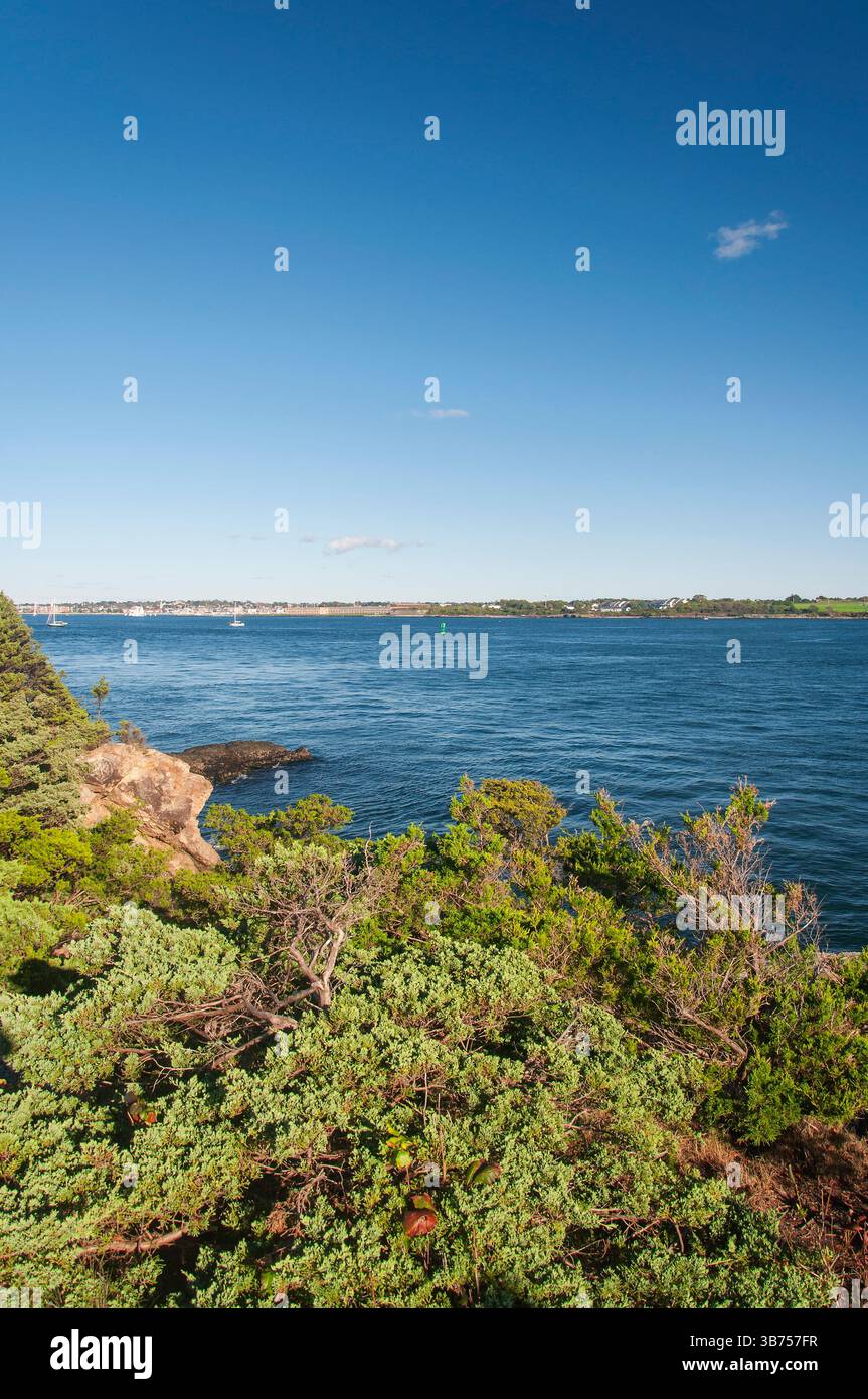 Pflanzen wachsen im Fort Wetherill State Park in Jamestown Rhode Island an sonnigen Tagen. Stockfoto