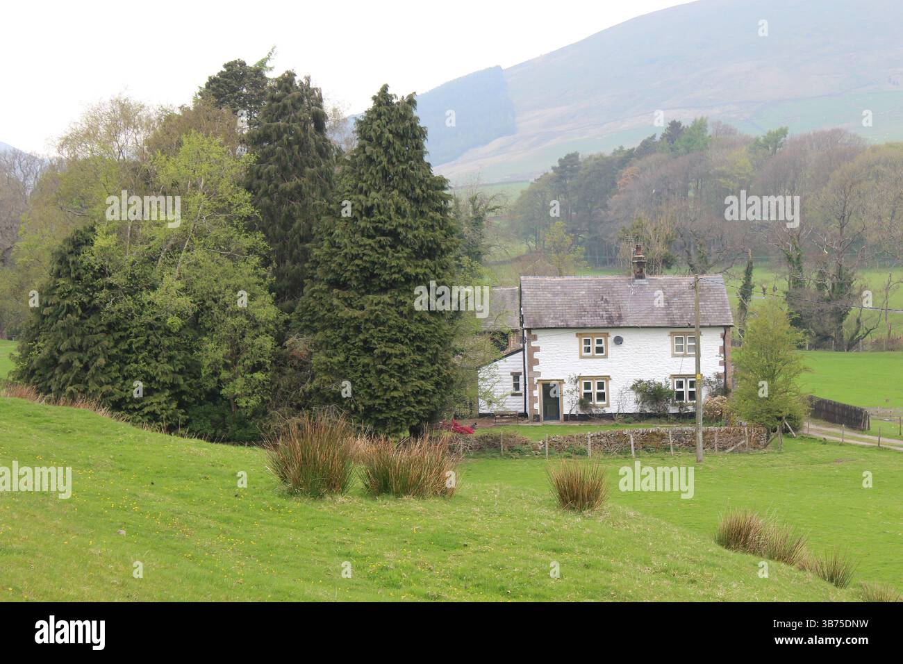 Dunsop Valley am Rande der Dunsop Bridge, Trough of Bowland, Lancashire, Großbritannien Stockfoto
