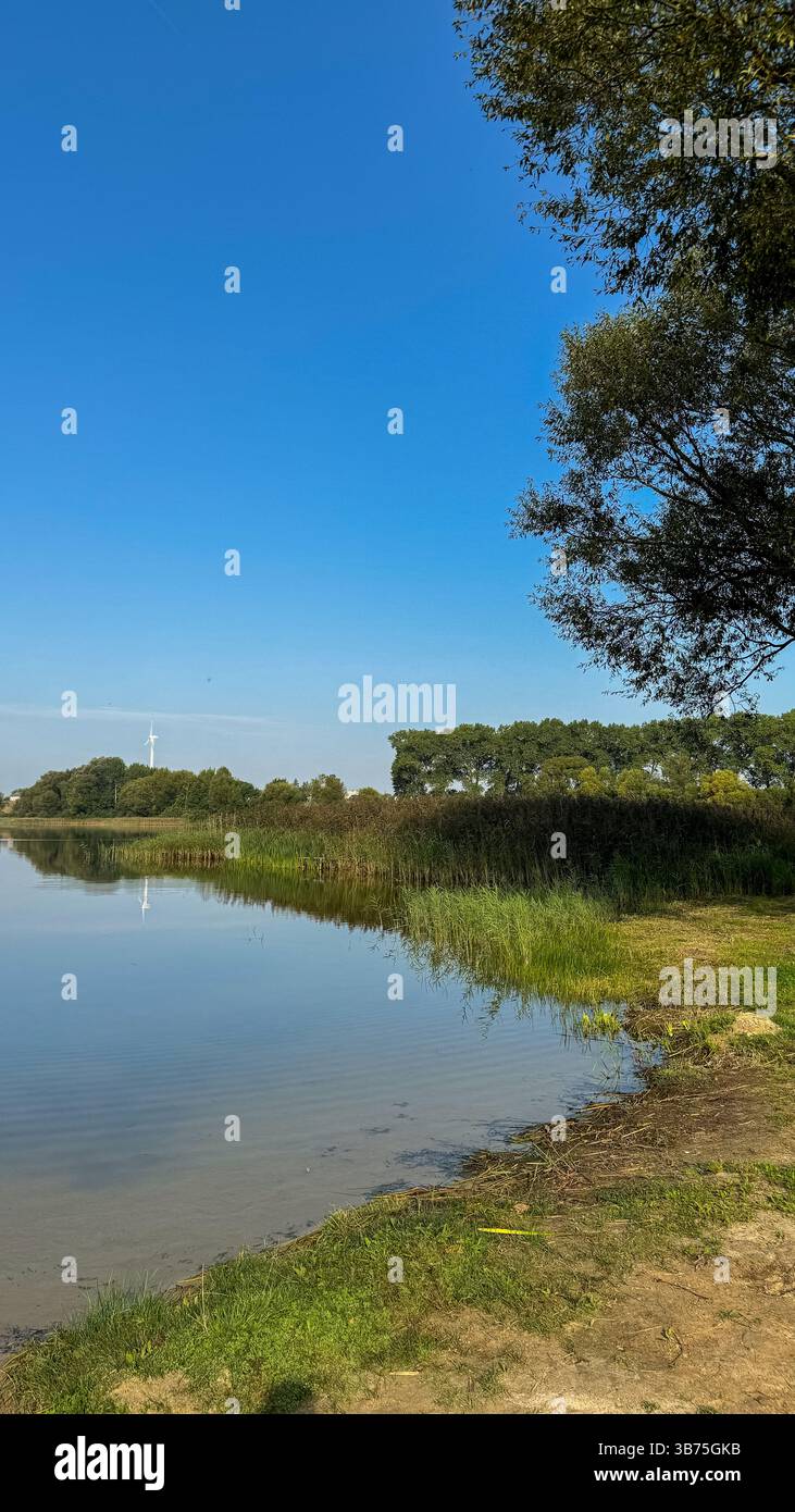 Ruhige Seeszene mit ruhigem Wasser, üppigen grünen Bäumen und klarem blauen Himmel, der die friedliche Schönheit der Natur einfängt. Stockfoto