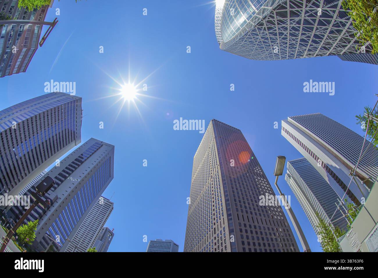 Frisches Grün von Shinjuku. Drehort: Metropolregion Tokio Stockfoto