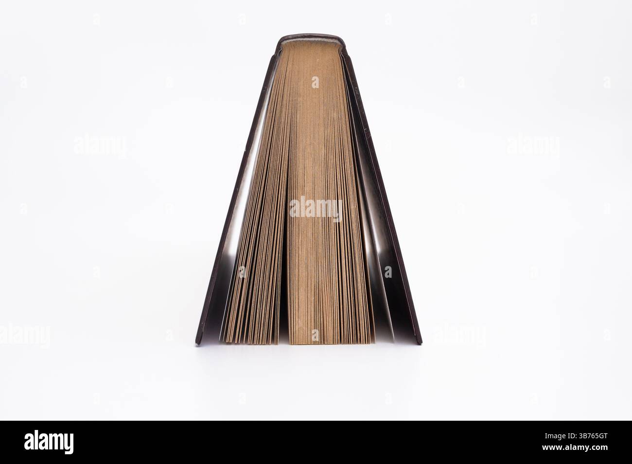 Buch als Quelle der Weisheit und Ideen. Das Buch steht als zeitloses Werkzeug zum Lernen, zur Inspiration von Kreativität und zur Förderung des persönlichen Wachstums durch seine Seiten. Stockfoto