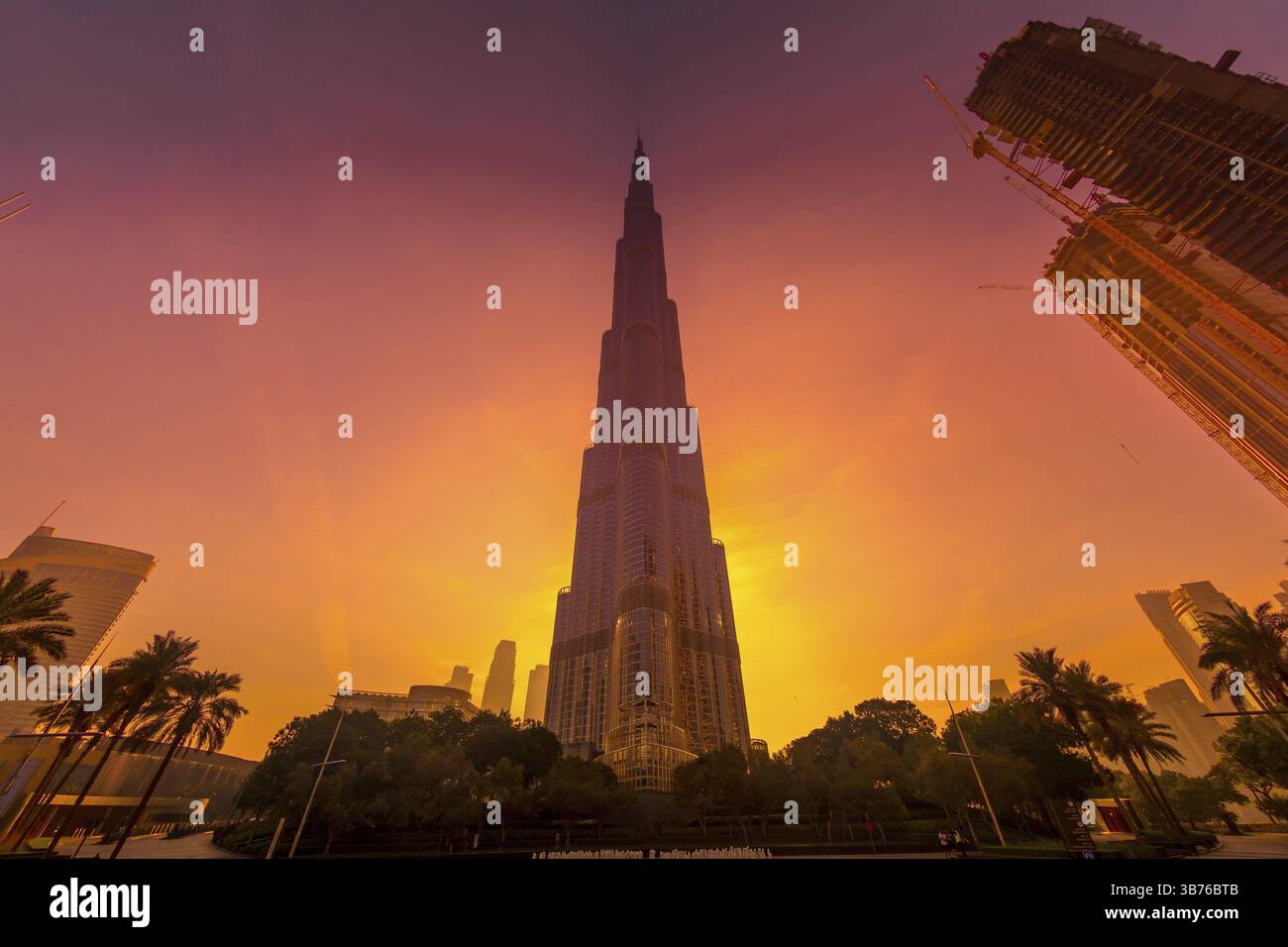 Bullenjewellana und Morgenrochen. Aufnahmeort: Dubai Stockfoto