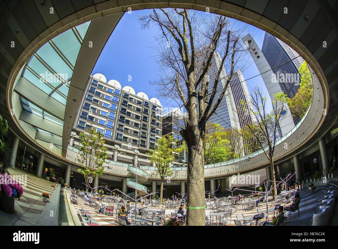 Frisches Grün von Shinjuku. Drehort: Metropolregion Tokio Stockfoto