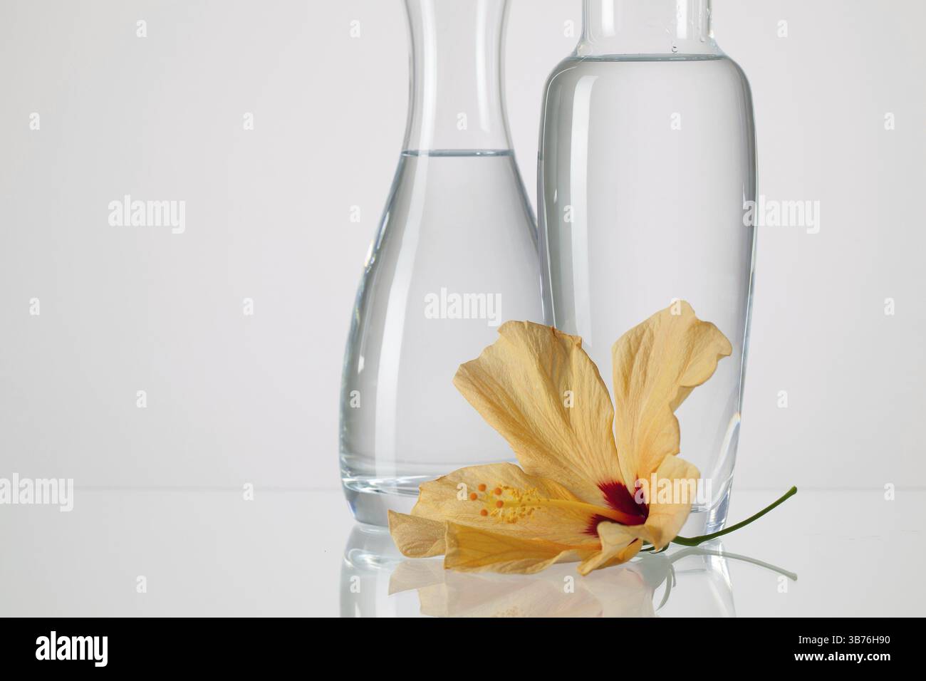 Zwei Vasen mit sauberem Wasser und Hibiskus Blume auf einem Glastisch Stockfoto