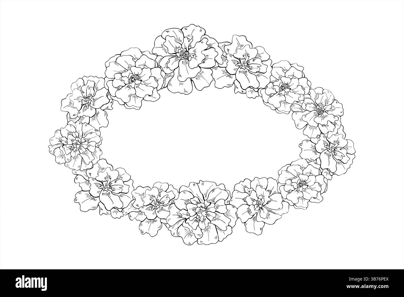 Vektor Marigold Blumenkopf Ovalkranz mit Kopierraum für Text. Einfarbig blühende tagetes Blumen Ätzen Zeichnung. Blumenrand für Diwali Stock Vektor